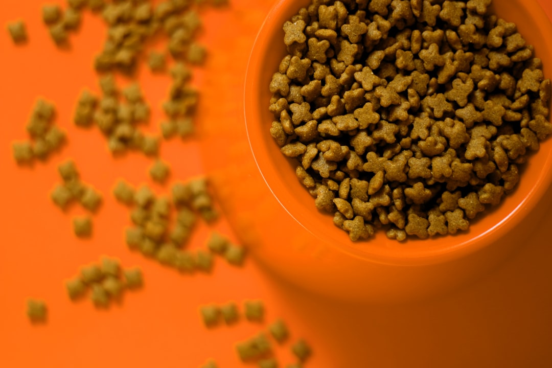 Close up of a dog food label showing AAFCO and WSAVA text