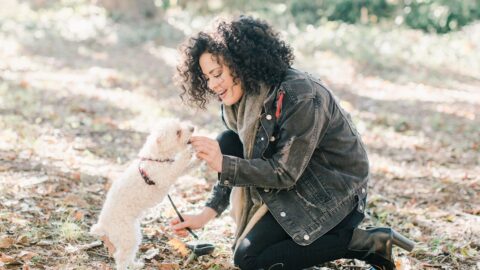 The 90% Rule: Why Most Dogs Fail Recall Because You Asked Too Soon